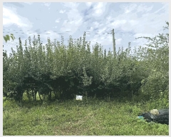  2025Ÿ��503301 ���� ������ �Ȼ굿 333-4       ����(��)���