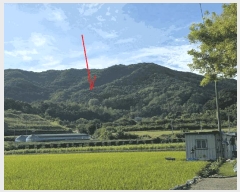  2025Ÿ��503372  �Ӿ߰��