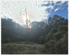  2025Ÿ��503372  �Ӿ߰��