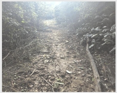  2025Ÿ��503372  �Ӿ߰��