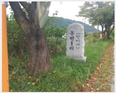  2025Ÿ��503372  �Ӿ߰��