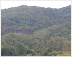  2025Ÿ��503372  �Ӿ߰��