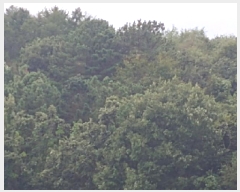  2025Ÿ��503372  �Ӿ߰��