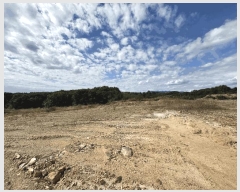  2025Ÿ��503450 ����Ư����ġ�� �屺�� �Ϻ��� 429-3       ����(�Ӿ�)���