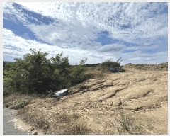  2025Ÿ��503450 ����Ư����ġ�� �屺�� �Ϻ��� 429-3       ����(�Ӿ�)���