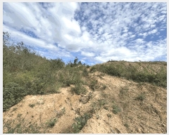  2025Ÿ��503450 ����Ư����ġ�� �屺�� �Ϻ��� 429-3       ����(�Ӿ�)���