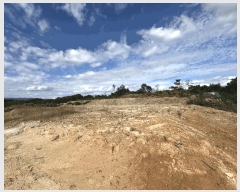  2025Ÿ��503450 ����Ư����ġ�� �屺�� �Ϻ��� 429-3       ����(�Ӿ�)���