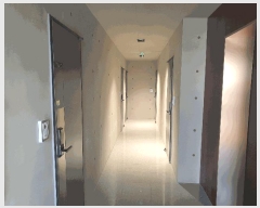  2025Ÿ��503649  �ٰ������ð��