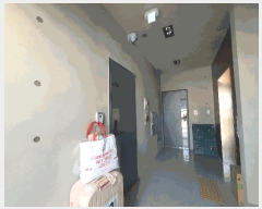  2025Ÿ��503649  �ٰ������ð��