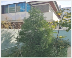  2025Ÿ��503649  �ٰ������ð��