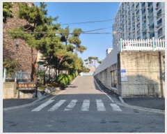  2025Ÿ��503662  ����Ʈ���