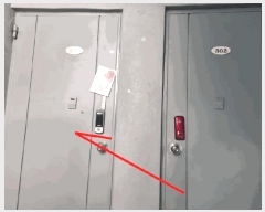  2025Ÿ��503687  �ټ���(����)���