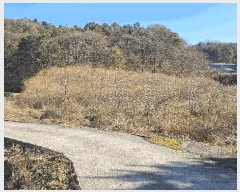  2025Ÿ��503801  ����