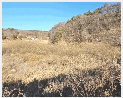  2025Ÿ��503801  ����