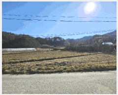  2025Ÿ��503801  ����