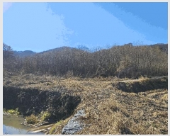  2025Ÿ��503801  ����