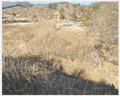  2025Ÿ��503801  ����