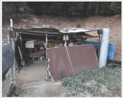  2025Ÿ��503865 ���� ���� �̻絿 1-14       ���ð��