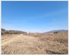  2025Ÿ��228 ����Ư����ġ�� ������ ��۸� 300       ����(����)���