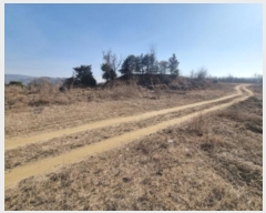  2025Ÿ��228 ����Ư����ġ�� ������ ��۸� 300       ����(����)���