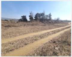  2025Ÿ��228 ����Ư����ġ�� ������ ��۸� 300       ����(����)���