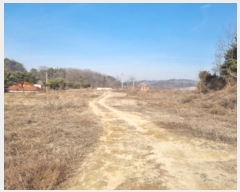  2025Ÿ��228 ����Ư����ġ�� ������ ��۸� 300       ����(����)���