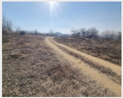  2025Ÿ��228 ����Ư����ġ�� ������ ��۸� 300       ����(����)���