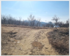  2025Ÿ��228 ����Ư����ġ�� ������ ��۸� 300       ����(����)���