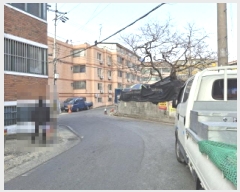  2025Ÿ358    240-2       ()