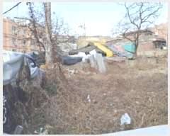  2025Ÿ358    240-2       ()