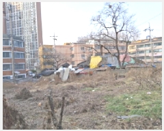  2025Ÿ358    240-2       ()