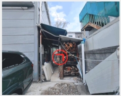  2025Ÿ��945  ������