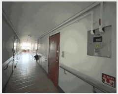  2025Ÿ1122    563-5       ܵ,ð