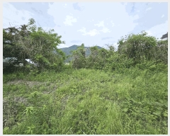  2025Ÿ��3506 ����Ư����ġ�� �屺�� �ݾϸ� 302-22       ����(����)���