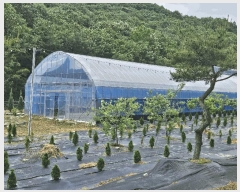  2025Ÿ��3506 ����Ư����ġ�� �屺�� �ݾϸ� 302-22       ����(����)���