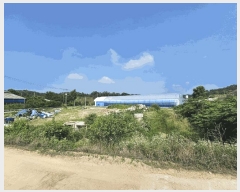  2025Ÿ��3607  ����