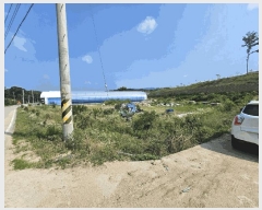  2025Ÿ��3607  ����