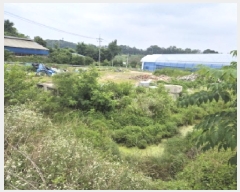  2025Ÿ��3607  ����