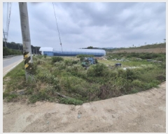  2025Ÿ��3607  ����