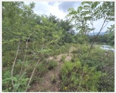  2025Ÿ��3719 ���� ������ �嵿 452-2       ����(����)���