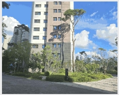  2025Ÿ��3777 ���� �߱� ���̵� 472 ���̿�Ǫ������������ũ 107�� 23��2304ȣ    ����Ʈ���