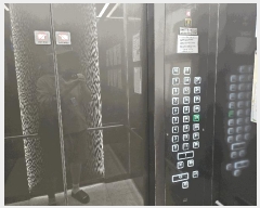  2025Ÿ��3777 ���� �߱� ���̵� 472 ���̿�Ǫ������������ũ 107�� 23��2304ȣ    ����Ʈ���