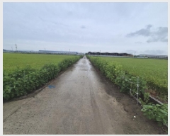  2025Ÿ��3805 �泲 ���ⱺ ���� ���ָ� 970-5      ����(��)���