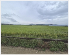  2025Ÿ��3805 �泲 ���ⱺ ���� ���ָ� 970-5      ����(��)���