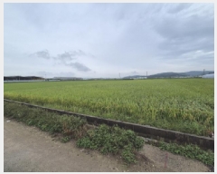  2025Ÿ��3805 �泲 ���ⱺ ���� ���ָ� 970-5      ����(��)���