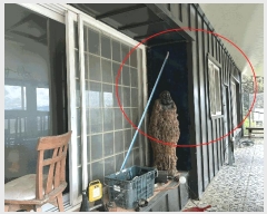  2025Ÿ��3816 ���� ���� ȿ�� 581-2       ��,�繫�ǰ��