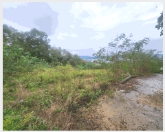  2025Ÿ��3865 ����Ư����ġ�� �屺�� ���븮 102-33       ����(�Ӿ�)���