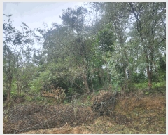  2025Ÿ��3865 ����Ư����ġ�� �屺�� ���븮 102-33       ����(�Ӿ�)���