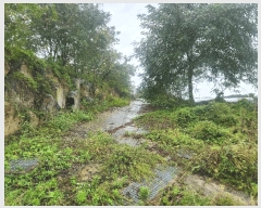  2025Ÿ��3865 ����Ư����ġ�� �屺�� ���븮 102-33       ����(�Ӿ�)���