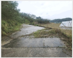  2025Ÿ��3865 ����Ư����ġ�� �屺�� ���븮 102-33       ����(�Ӿ�)���